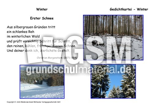 Erster-Schnee-Morgenstern.pdf